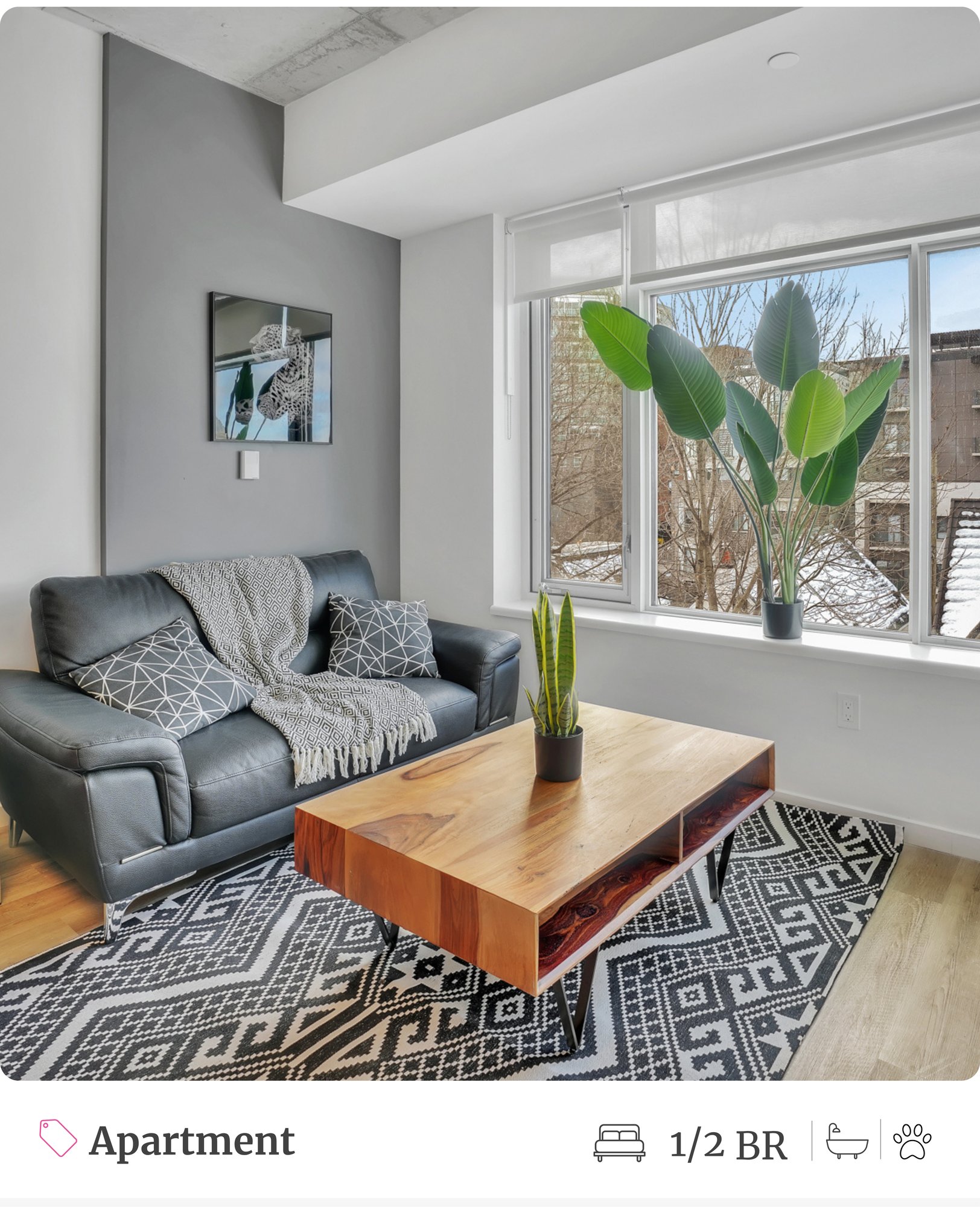 Fully Furnished Apartments in Canvas