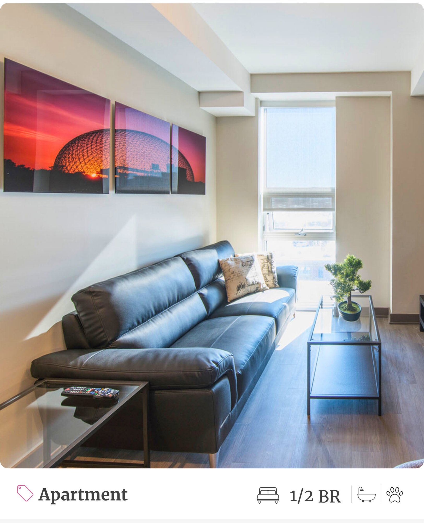 Fully Furnished Apartments in Lisgar